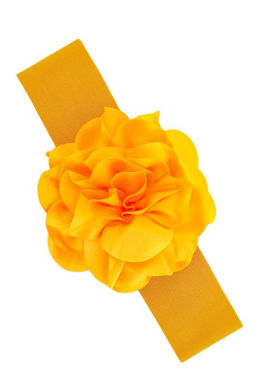 Chiffon Flower Charm Elastic Belt Minimalist Modern